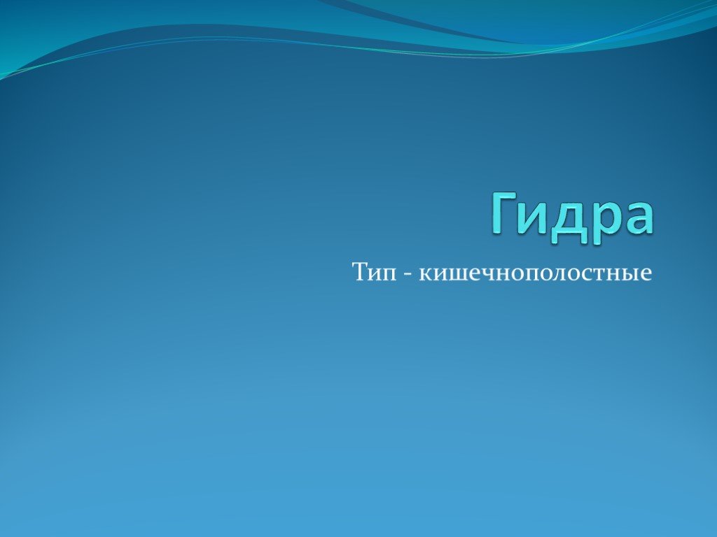 Как восстановить доступ к аккаунту кракен